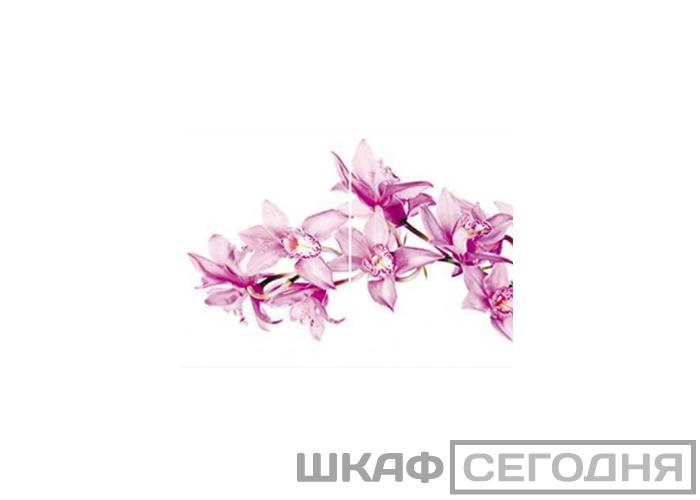 Люкс Люкс