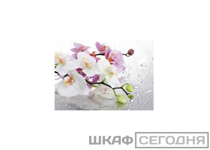 Люкс Люкс