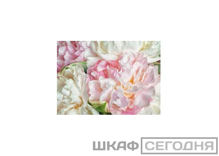 Люкс Люкс