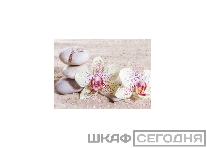 Люкс Люкс