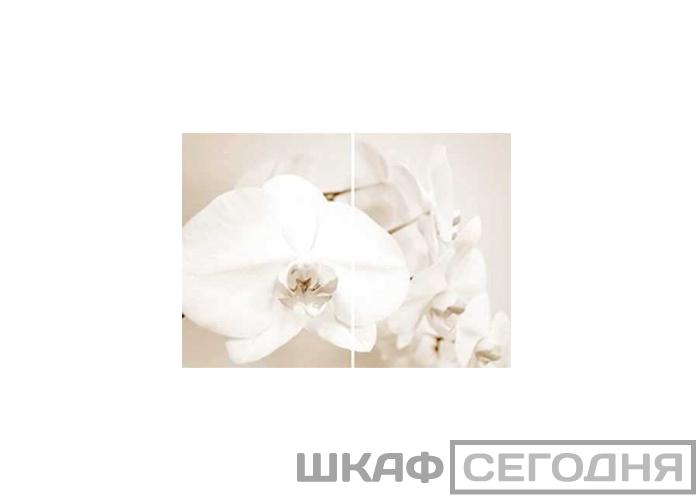 Люкс Люкс