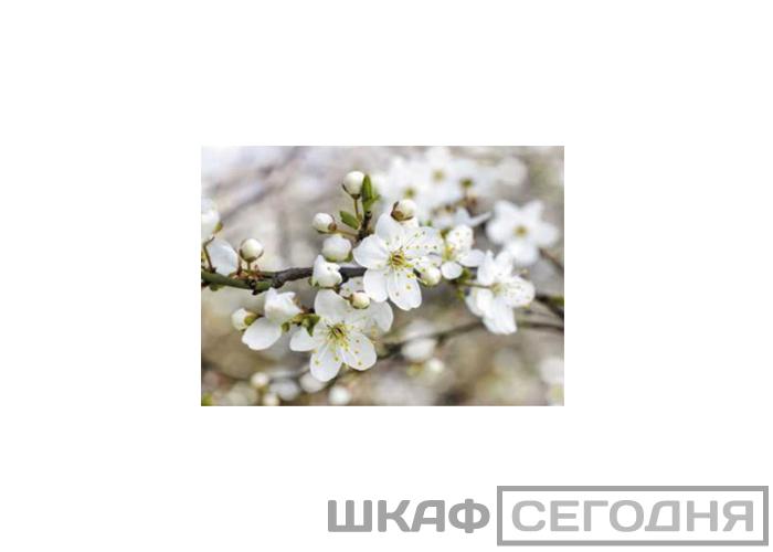 Люкс Люкс