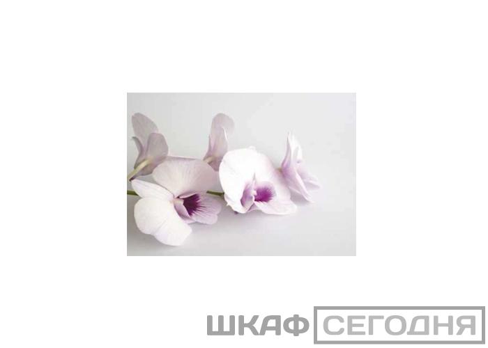 Люкс Люкс