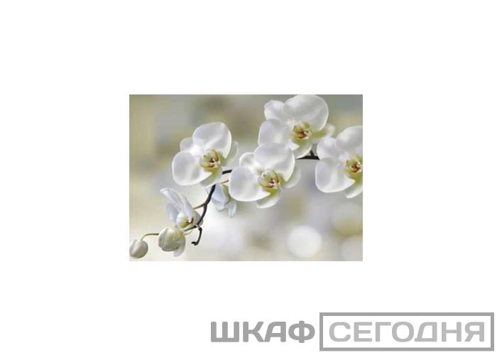 Люкс Люкс