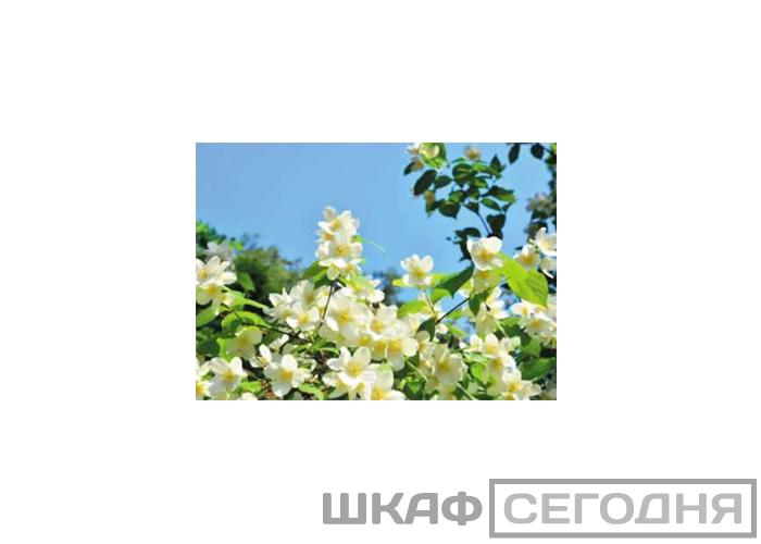 Люкс Люкс