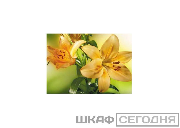 Люкс Люкс
