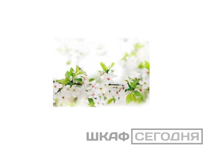 Люкс Люкс