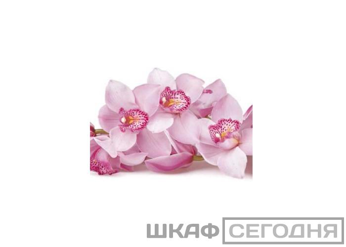 Люкс Люкс