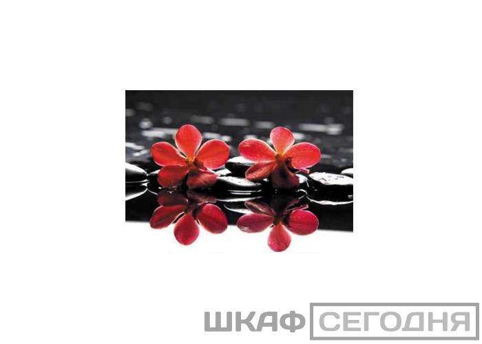 Люкс Люкс