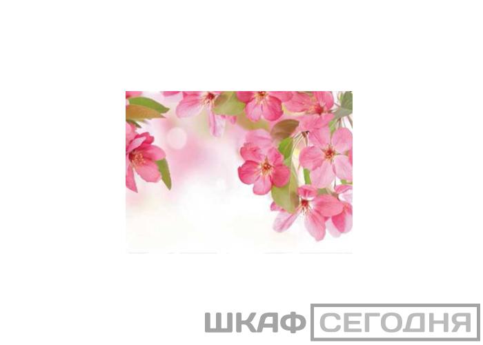 Люкс Люкс